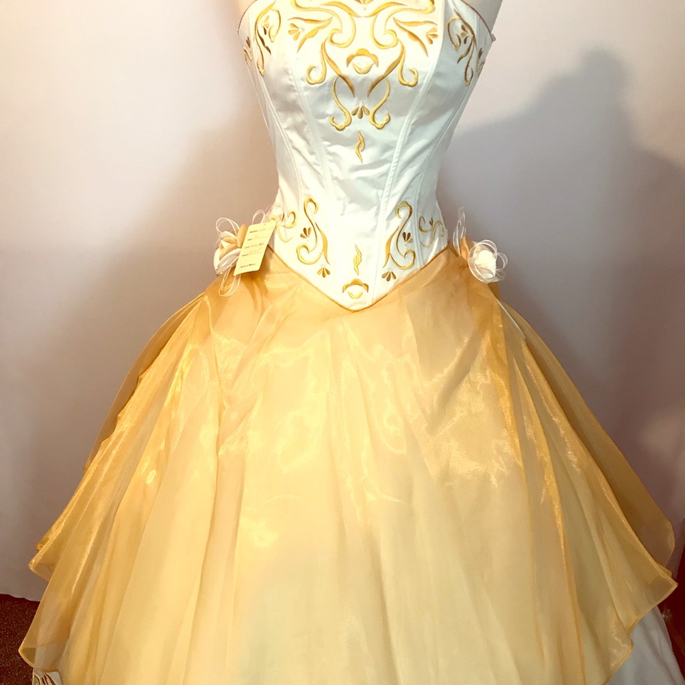 Quinceañera/ Prom Dress